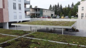 Dachbegrünung Schulstraße Niesky